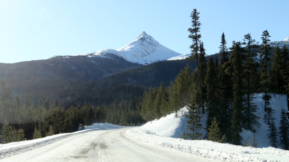 Needlepoint Mountain