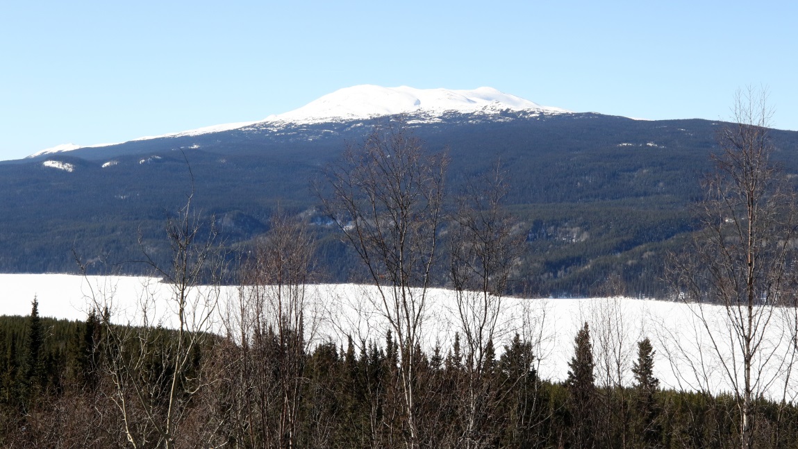 Twelve miles North of the town of Dease Lake