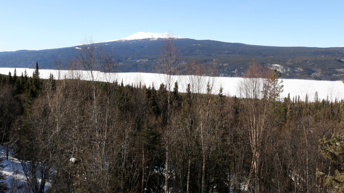 Twelve miles North of the town of Dease Lake