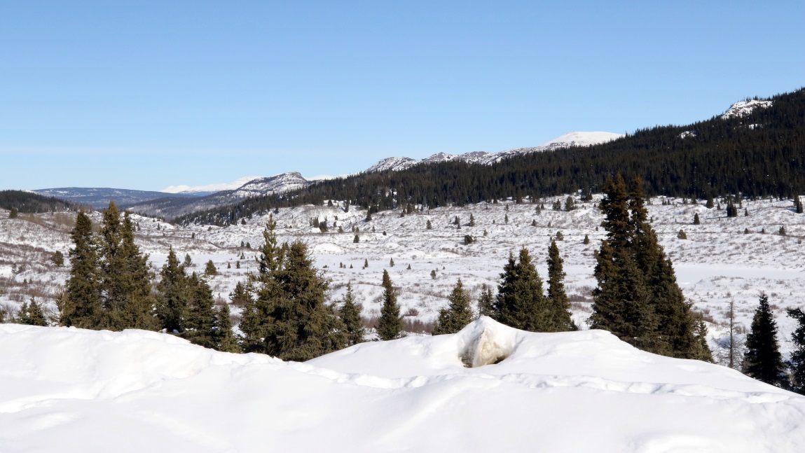 Fifteen miles South of Dease Lake