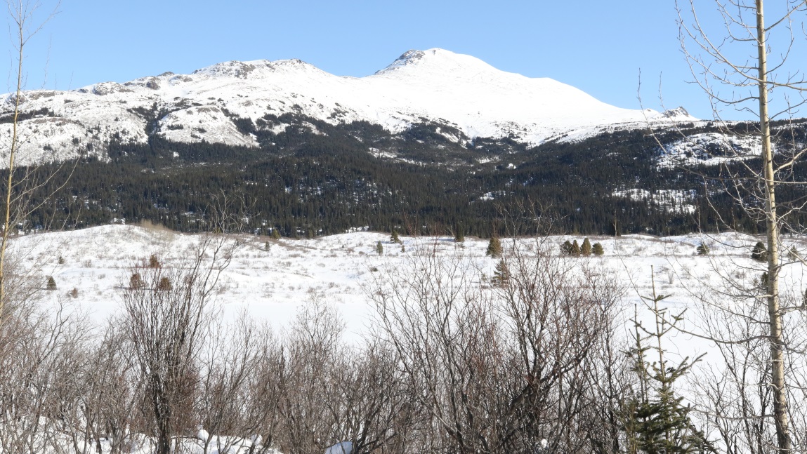 Seventeen miles South of Dease Lake
