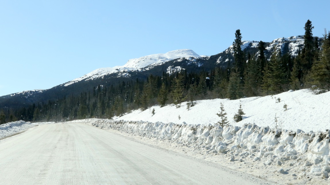 Twenty miles South of Dease Lake