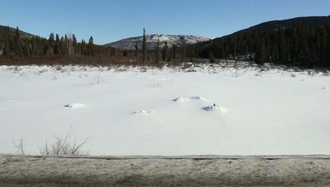 Ten miles North of Iskut