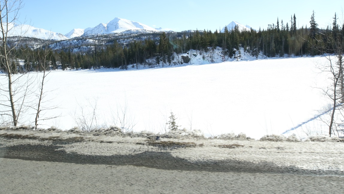 Seventeen miles North of Bob Quinn Lake