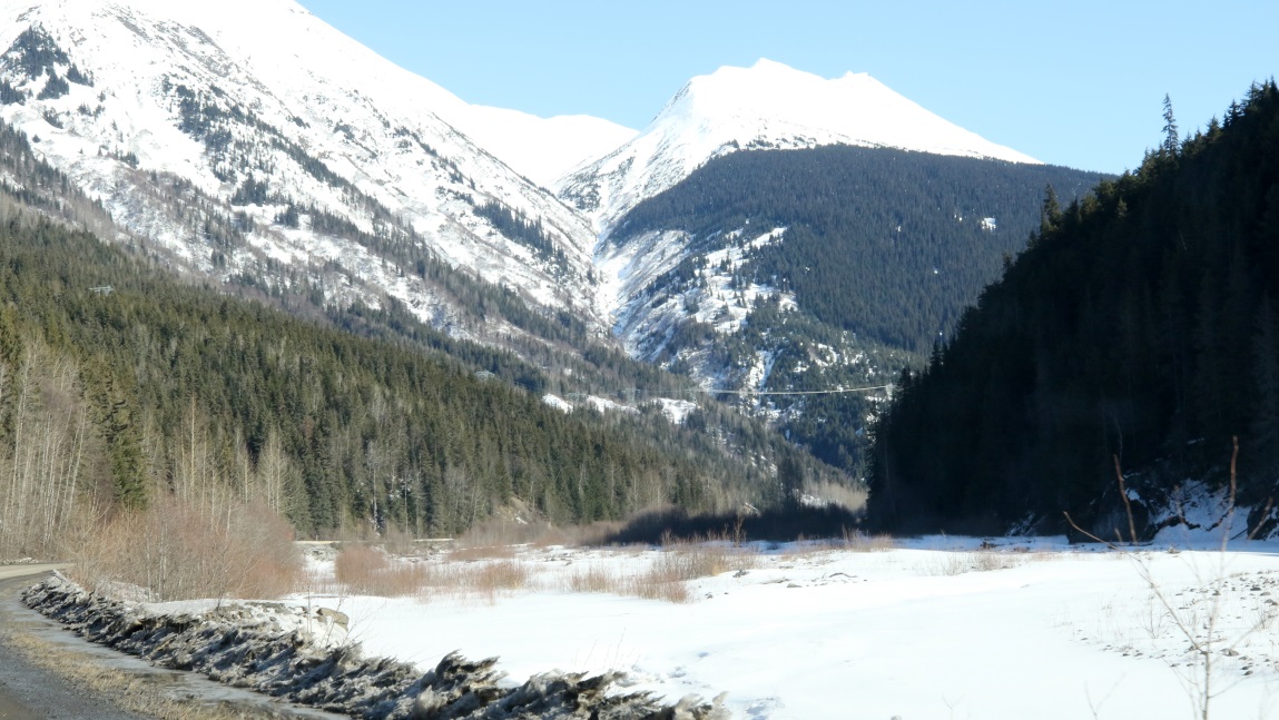 Nine miles South of Bob Quinn Lake