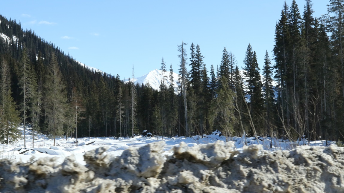 Twenty miles North of Bell II