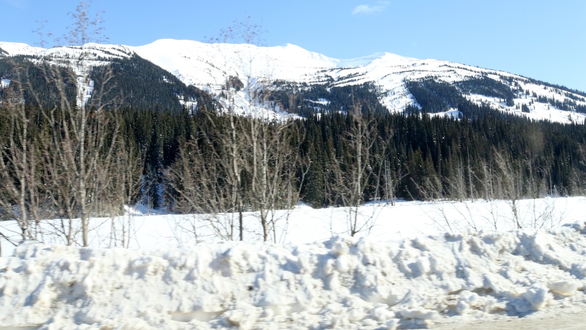 Nine miles North of Bell II