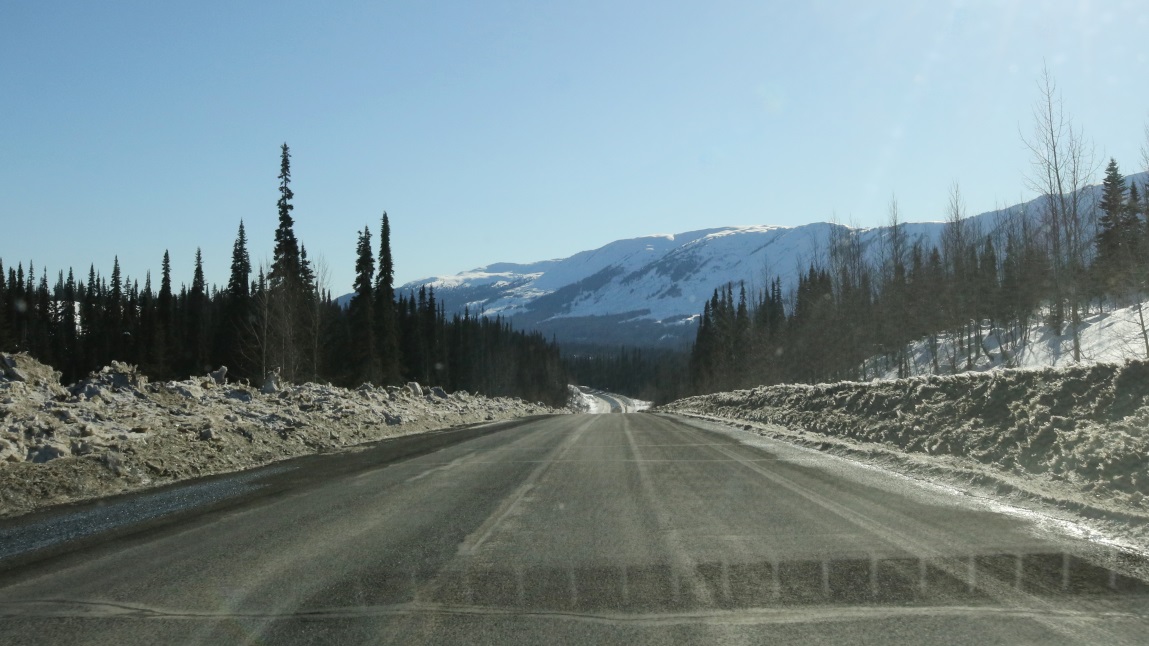 Forteen Miles North of Meziadin Junction
