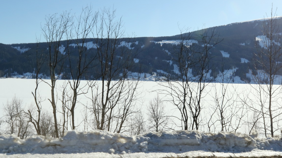 Meziadin Lake