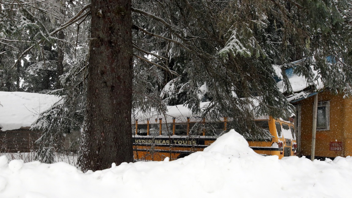 Note the size of the tree