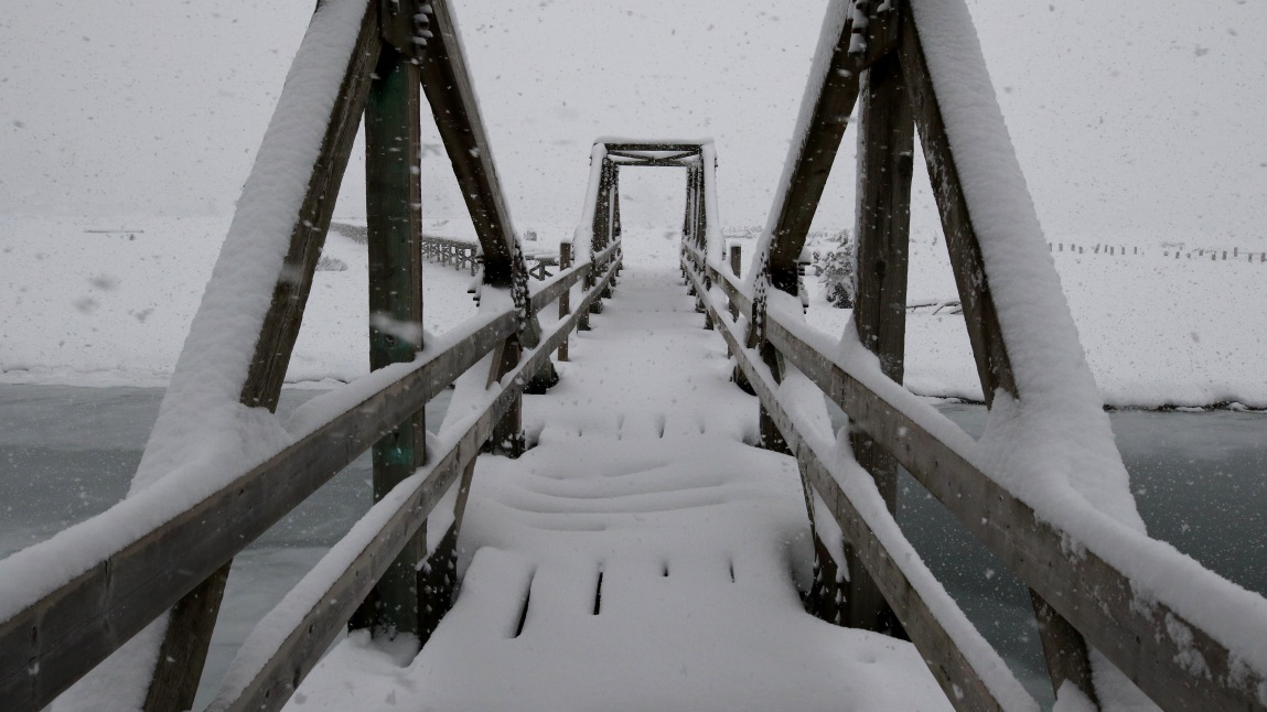 Walking on the Stewart Estuary Boardwalk
