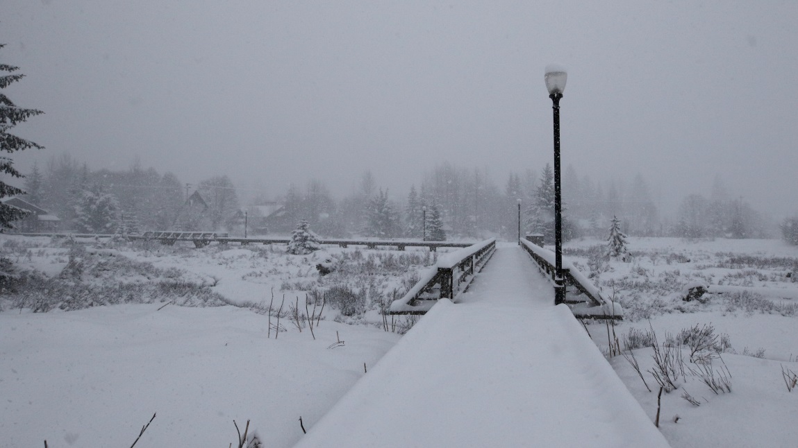 Walking on the Stewart Estuary Boardwalk