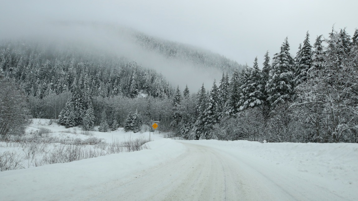 Ten miles North of Stewart