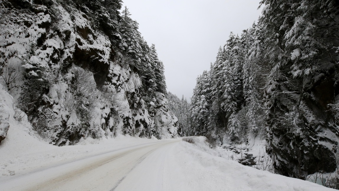 Passing through Bear Canyon