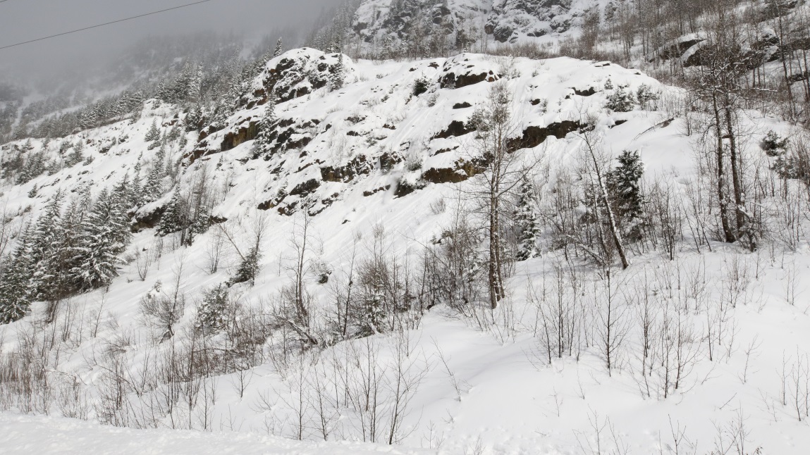 Numerous small avalanches