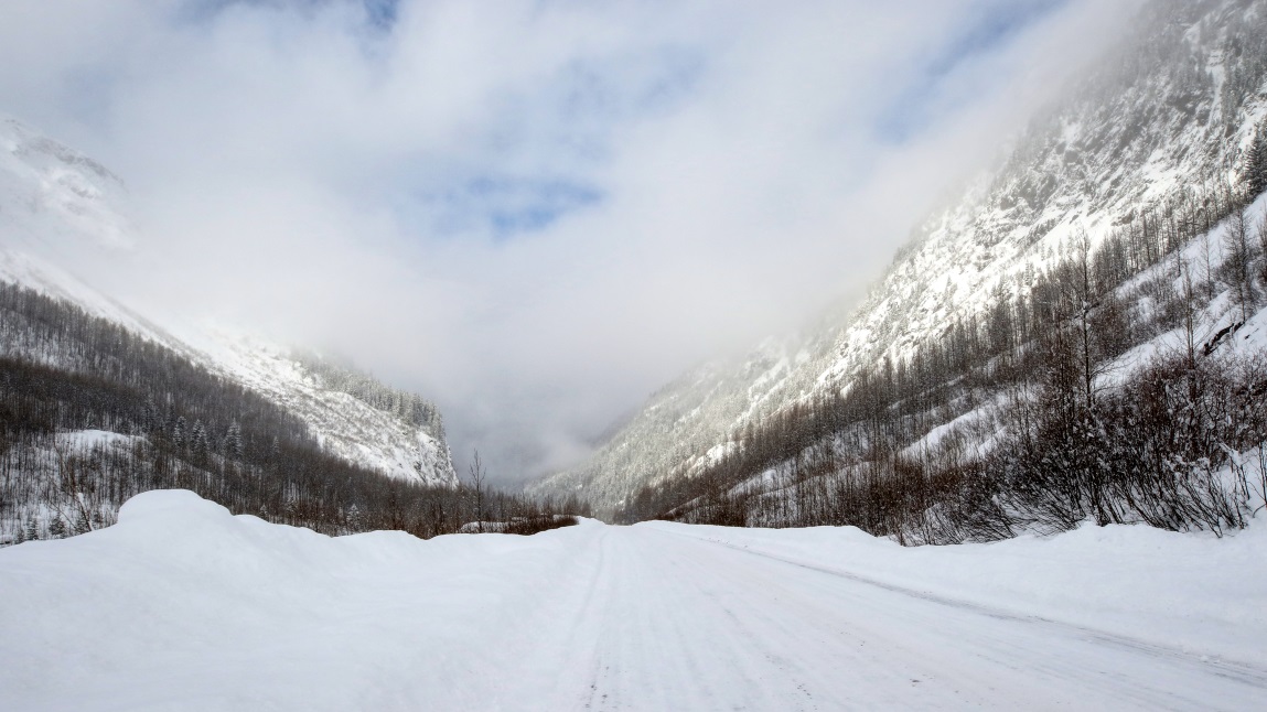 Near the Bear Glacier