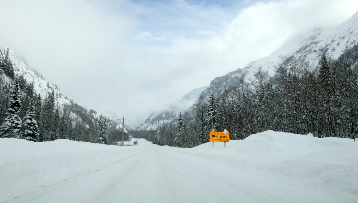 Fifteen miles West of Meziadin Junction