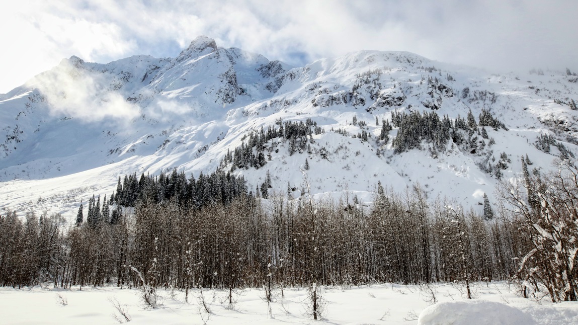 Entrance Mountain