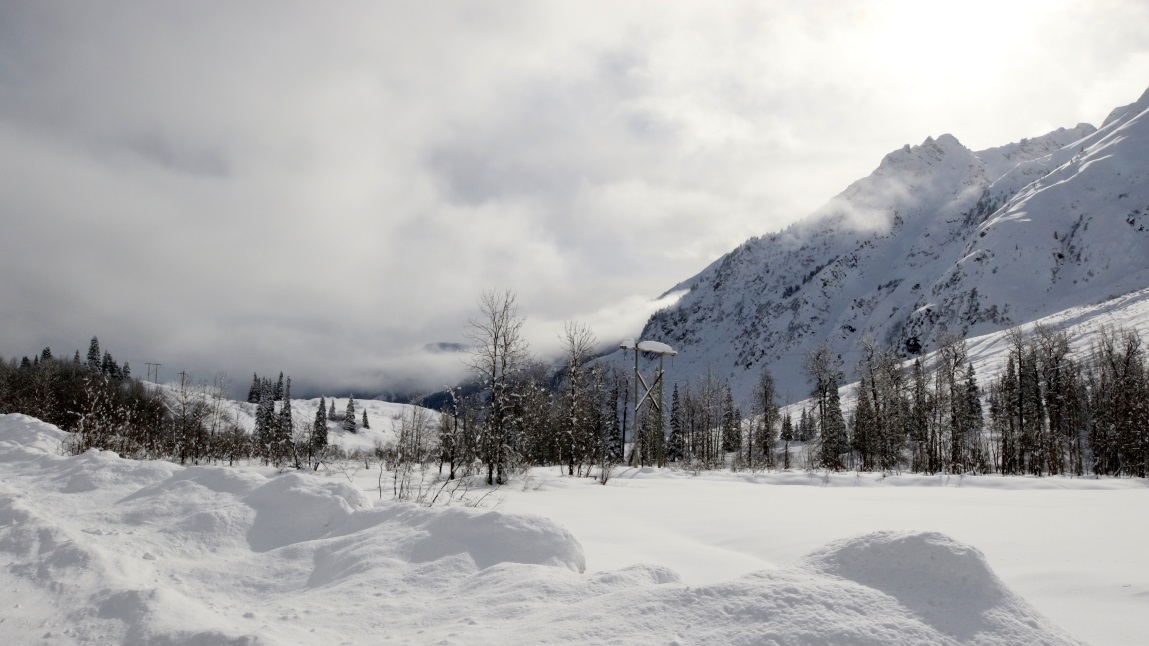 East of Entrance Mountain
