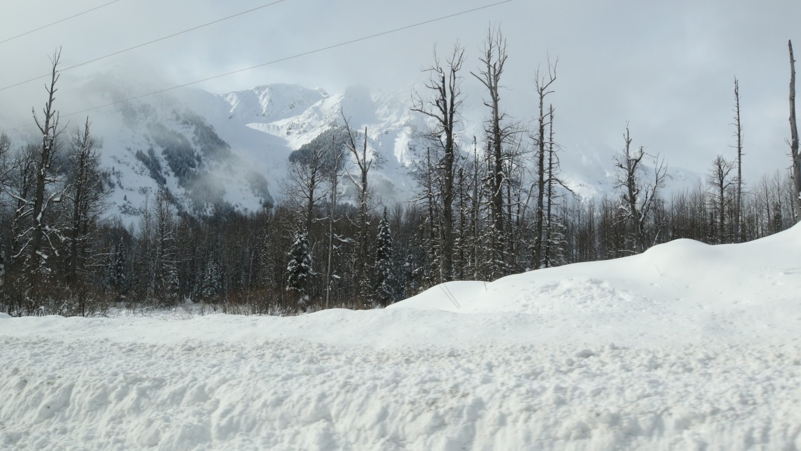 Six miles West of Meziadin Junction