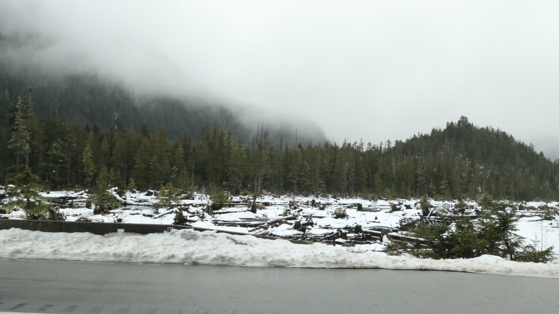 Frozen marsh on Prudhomme Lake