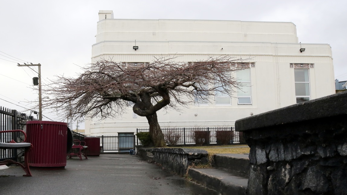 Neat tree