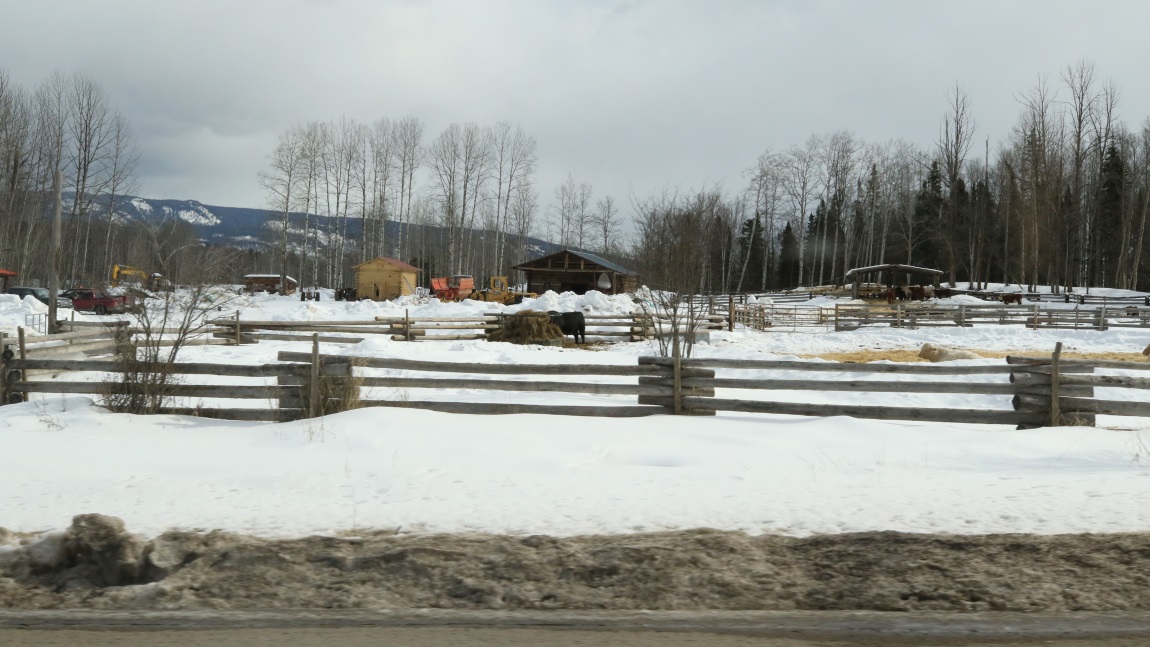 Horse farm