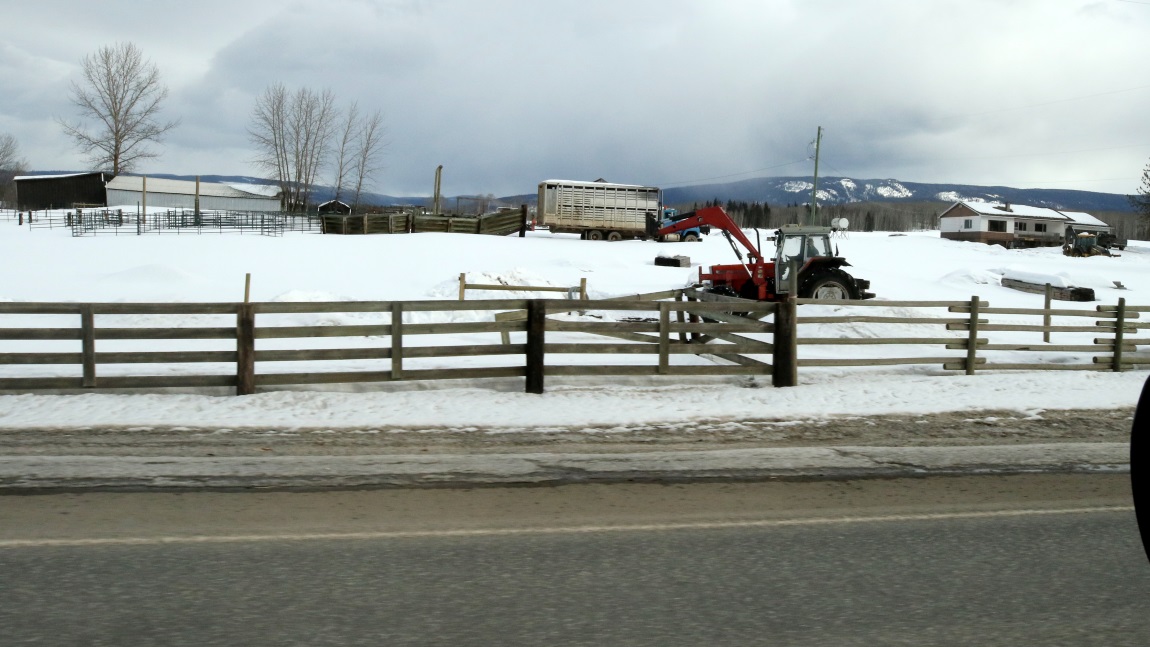 Farms seven miles North of Smithers
