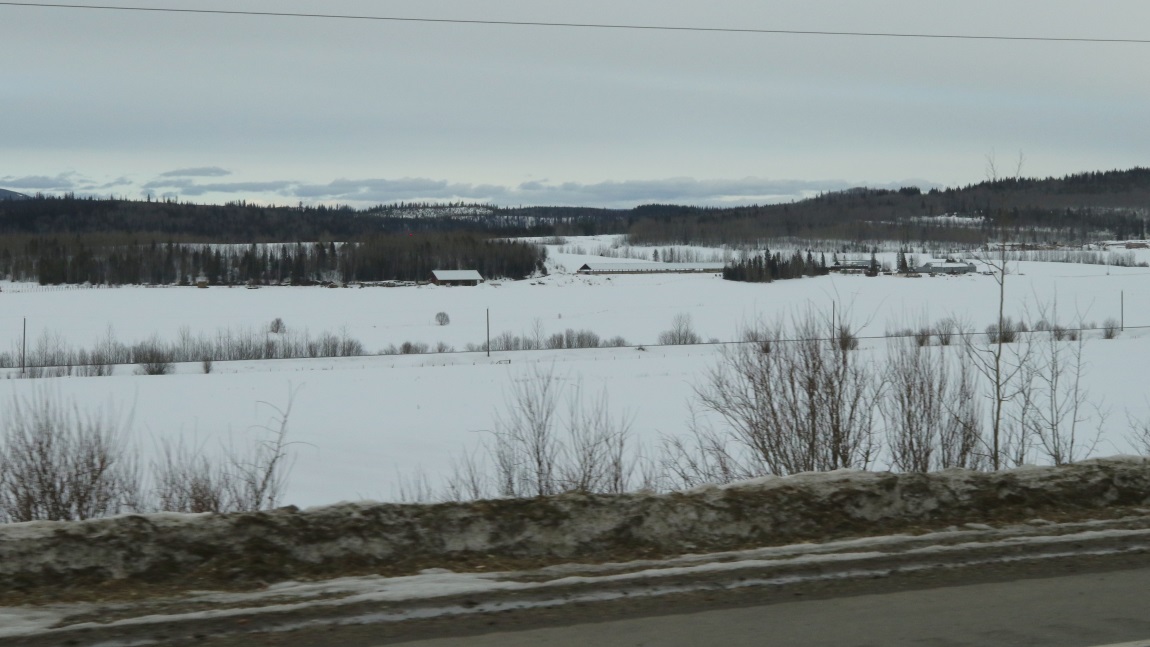 Farm in Strathnaver