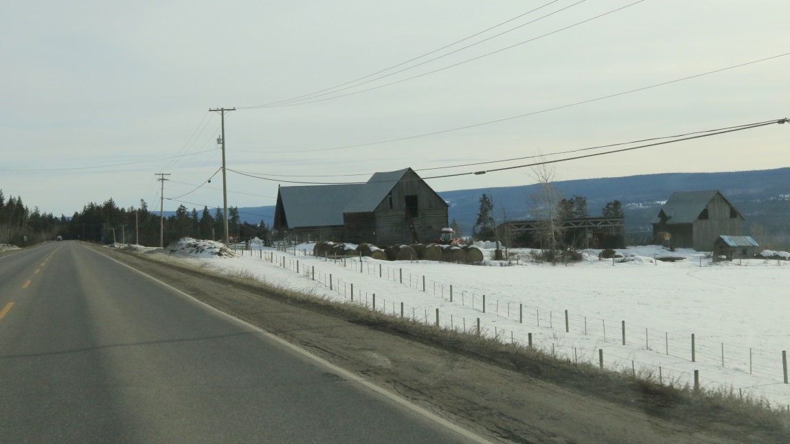 Hay farm in Alexandria