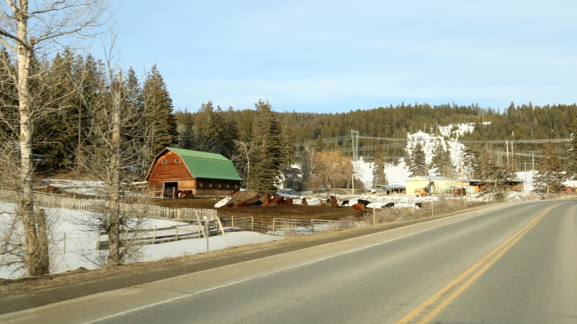 Four miles South of Soda Creek