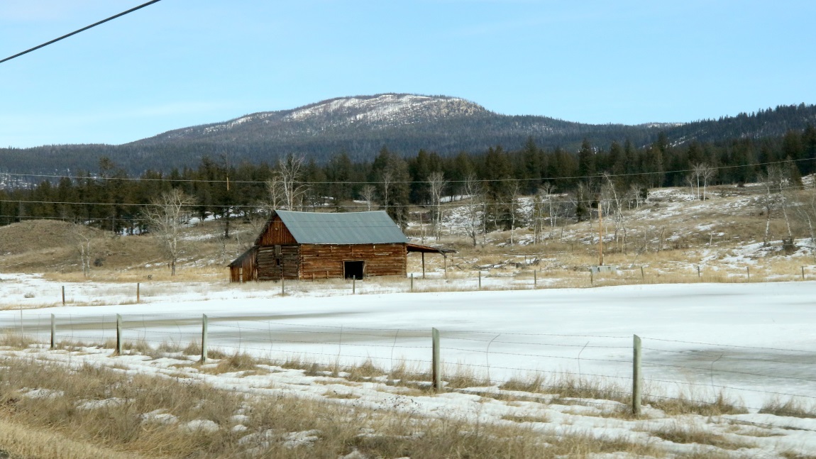 Cabin twelve miles Southeast of Alexis Creek