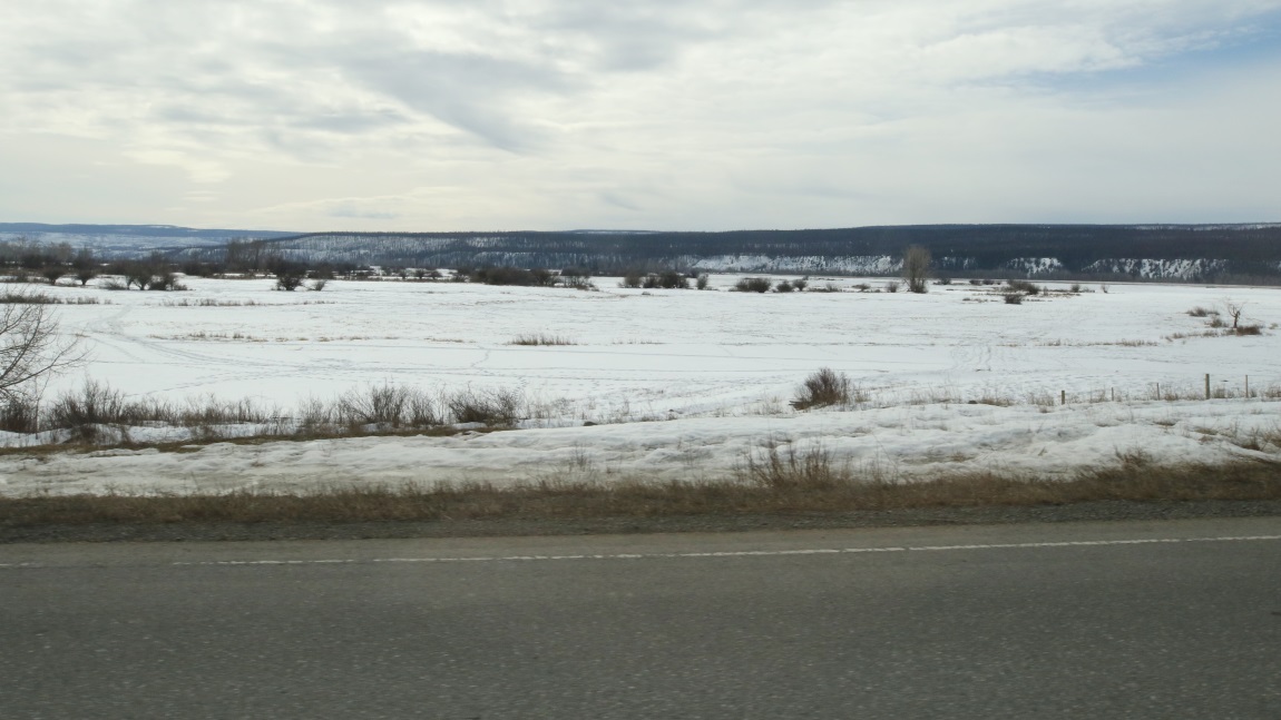 Farmland six miles Southeast of Alexis Creek