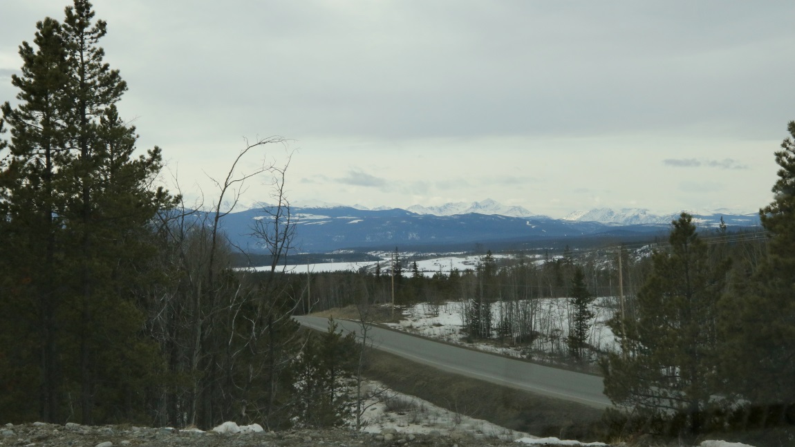Rest area