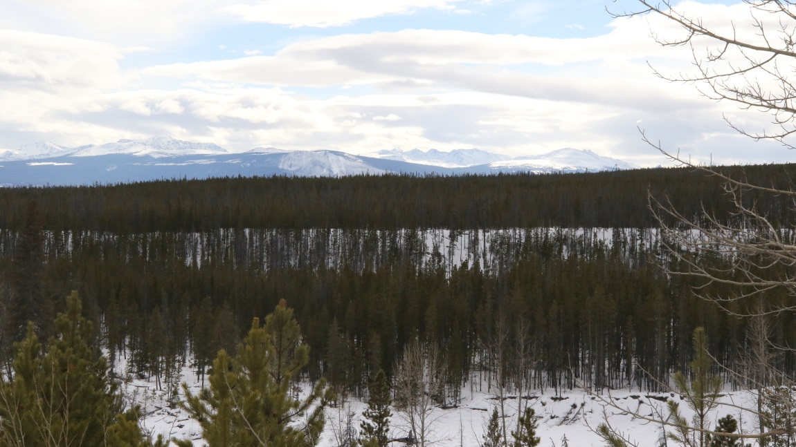 27 Miles West of Kleena Kleene