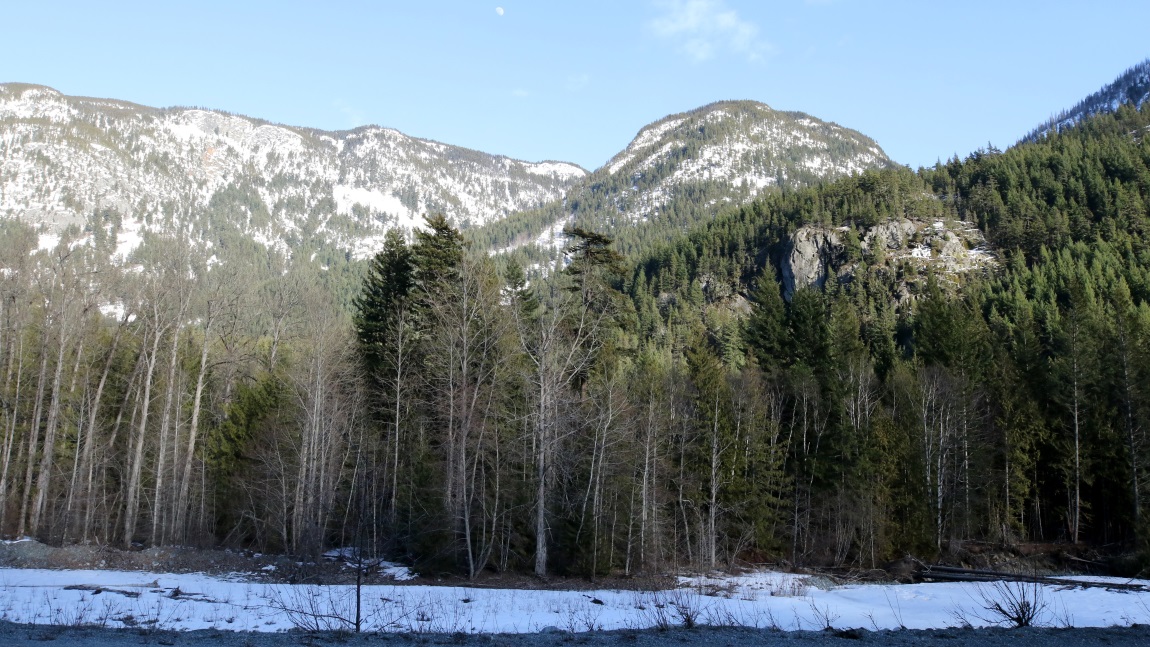 Four miles East of Stuie