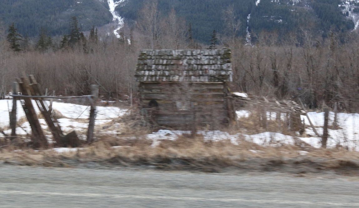 Neat wooden shed