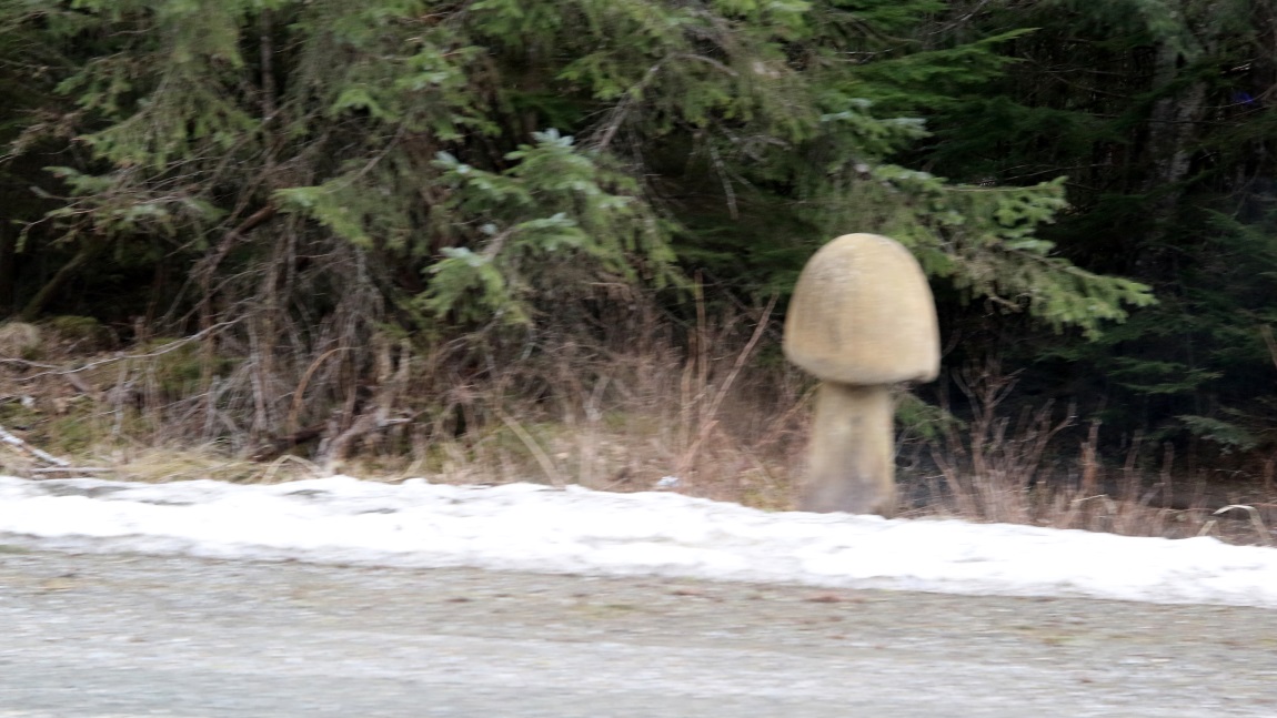Large concrete mushroom