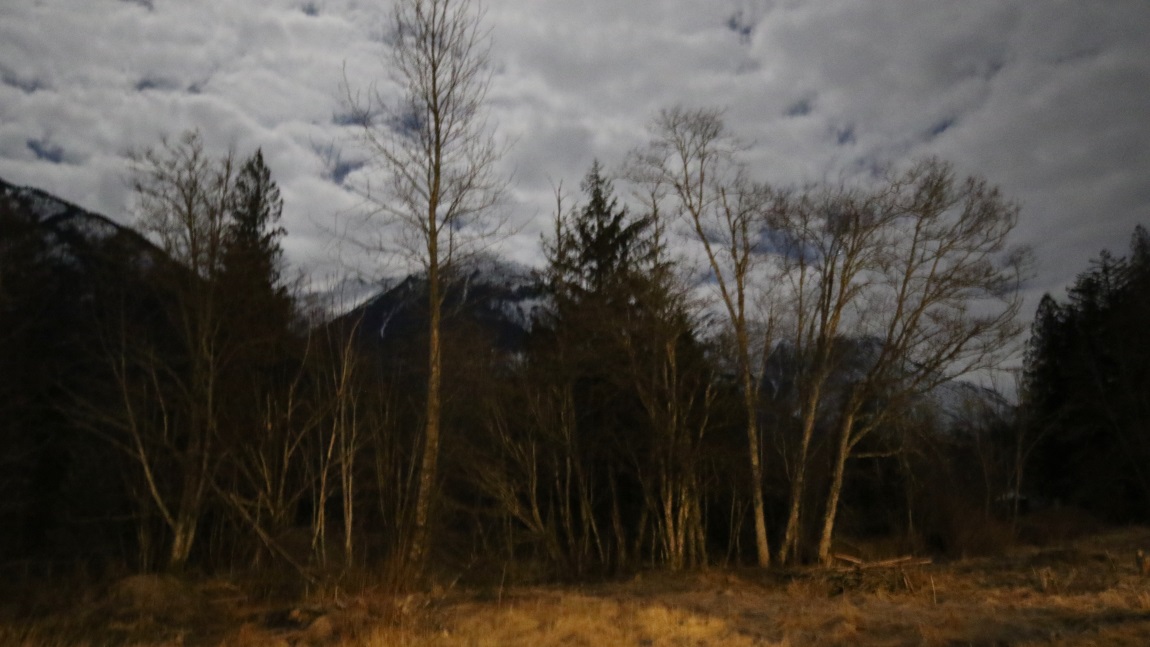 Night pictures at Bella Coola Mountain Lodge