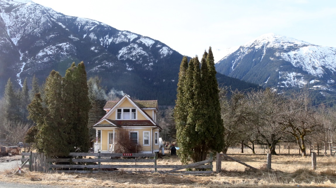 Nice small house