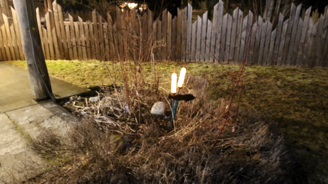 Night pictures at Bella Coola Mountain Lodge