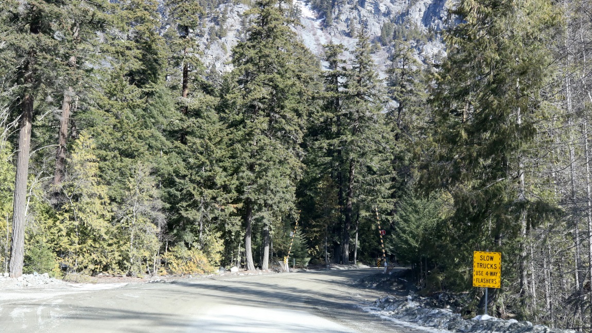 Road closure gate