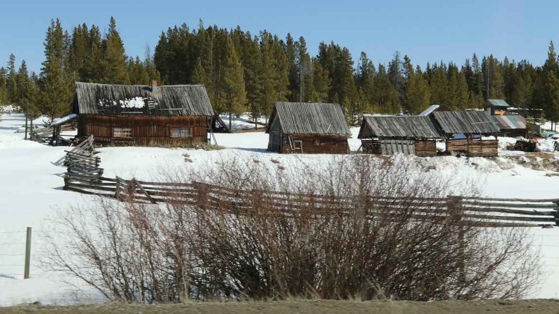 Four miles South of Nimpo Lake