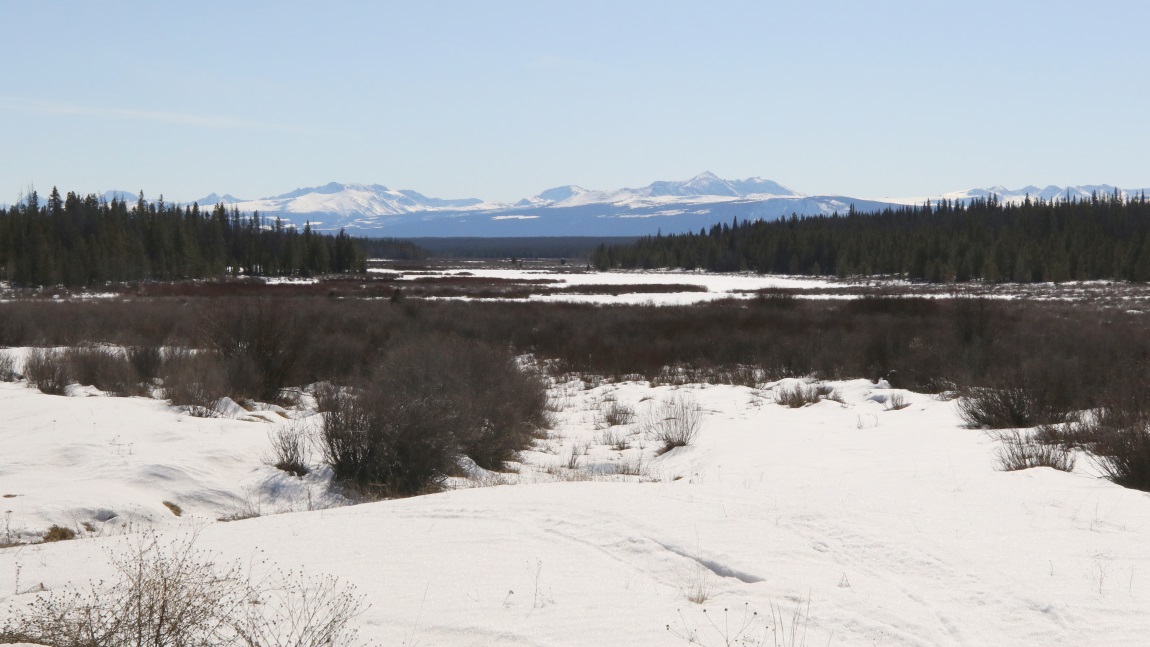 Cariboo Flats