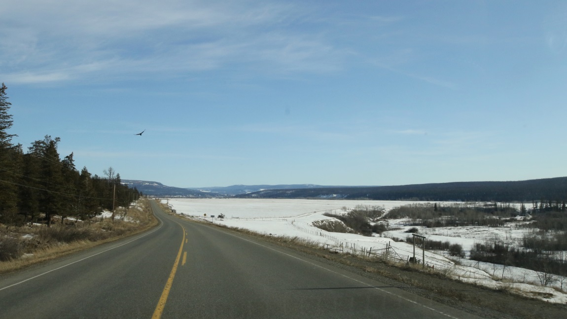 Huge farm three miles East of Alexis Creek