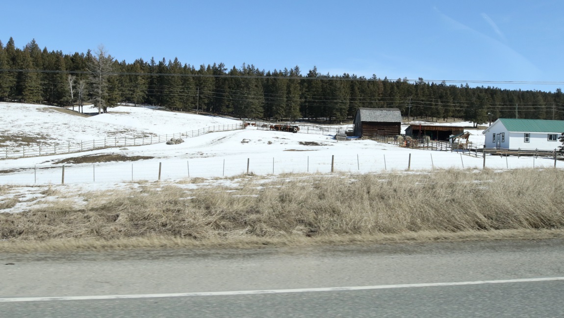 Farm twelve miles South of 150 Mile House