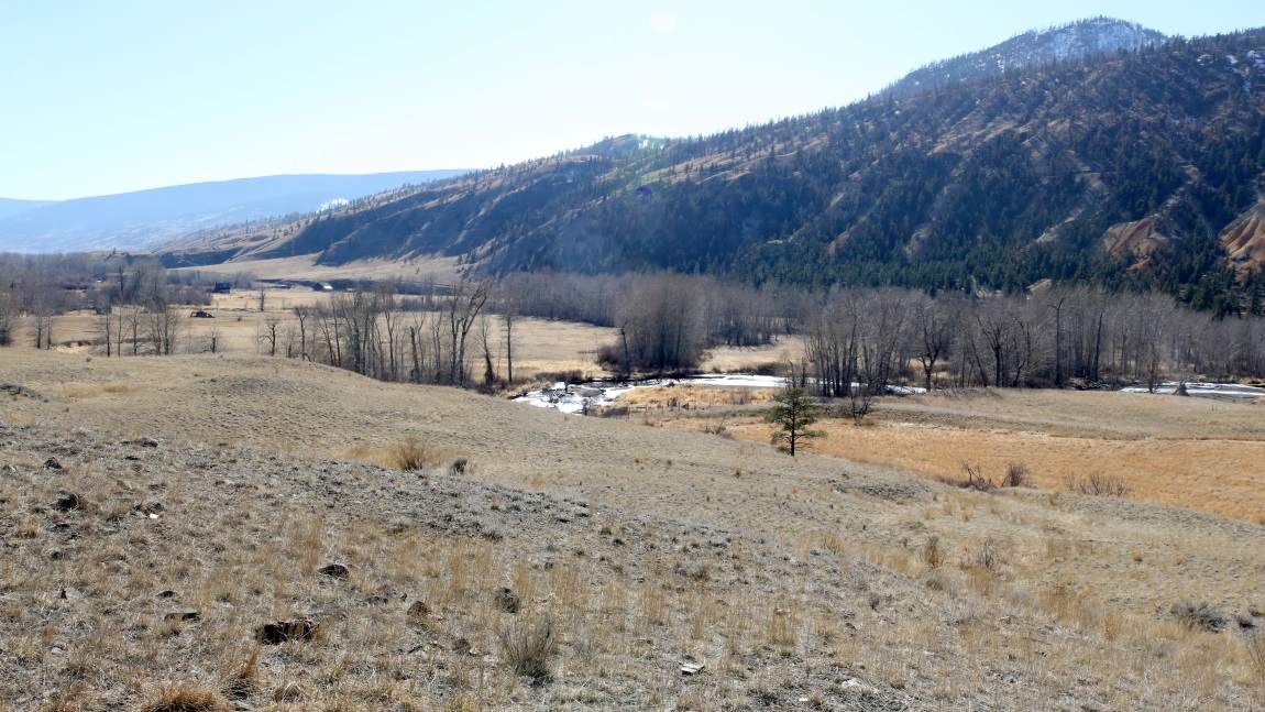 Fourteen miles North of Cache Creek