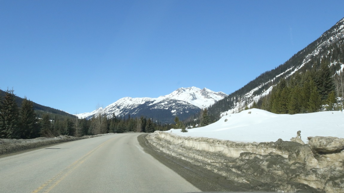 Fifteen miles Northeast of Mt. Currie