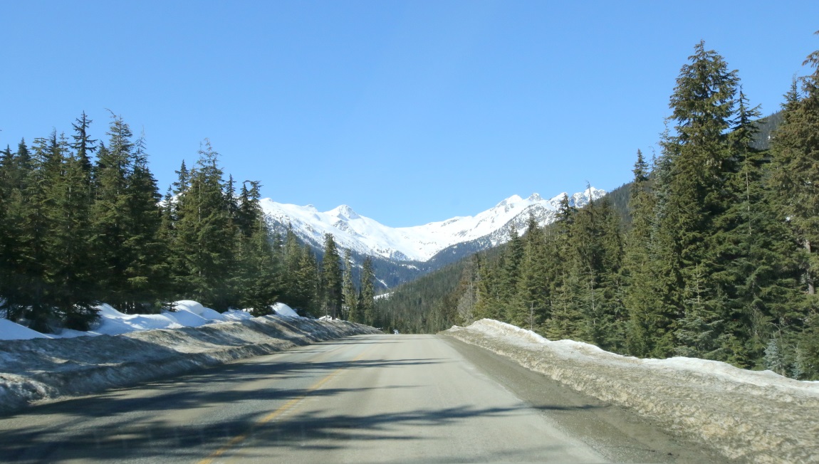 Thirteen miles Northeast of Mt. Currie