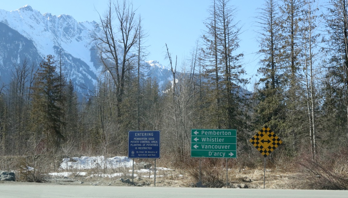 Mount Currie